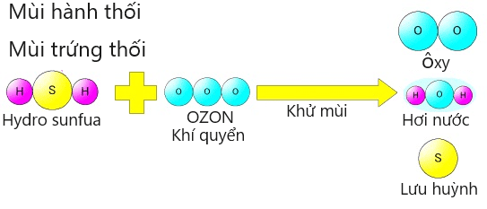 Khử trùng bằng tia cực tím và khử mùi ozone mạnh mẽ OZ-10.OZ-20